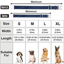 Collar de perro de tela de terciopelo con correa de perro y corbata de moño, collares básicos de perro suaves y de liberación rápida para perros pequeños y medianos, correa de perro resistente para perros grandes para uso diario - diseño y sencillo para un control confiable - azul real - Ver 3