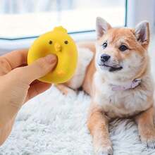Wang Meow Pet Durable Latex Squeaky Small Yellow Chicken & Dog Toy - Cute Cartoon Pet Chew Toy, Relieve Boredom And Clean Teeth, Suitable For Small To Medium Dogs - Multicolor - View 5