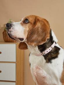 極簡粉色亮片 PU 寵物項圈，適用於貓狗，寵物用品，適合泰迪、比熊及其他小型至中型寵物，適合四季戶外活動 - 粉色 - 查看 10