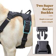 Dog Harness And Leash Set ,No Pull With 2 Leash Clips, Adjustable Soft Padded, Reflective Oxford No Choke Pet Vest With Easy Control Handle For MediumLarge Dogs - Black - View 4