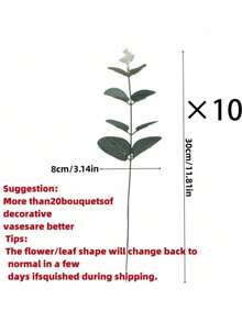 1/10/20 pezzi Foglie di eucalipto artificiali, rami di eucalipto finti, foglie di albero dei soldi finte, piante verdi artificiali, forniture per profumo da sposa, regalo di San Valentino, compleanno, festa di nascità, decorazione fai-da-te per il giardinaggio domestico - Eucalipto a rami corti - Visualizzare 9