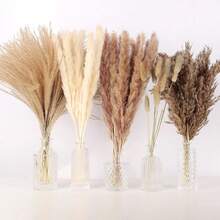 100 PCS Pampas Grass Bundle - Dried Rattan Reeds For Boho Home Decor, Wedding Centerpieces, Christmas Party Supplies. - 100 PCS - View 7