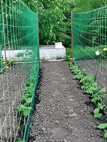 Weather-Resistant Waterproof PVC Gardening Trellis - Outdoor Plant Support Rack With Sturdy Vertical Posts And Open Weave Structure, Suitable For Vines, Ivy, Beans Etc., Easy To Install In Flower Beds, Vegetable Gardens And Balconies, Low Maintenance (Excluding Stand) - Multicolor - View 6