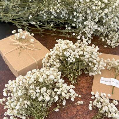 25/50/100/150/300pcs Mini Artificial Baby's Breath & Other Flowers - For Resin Mold Art & Crafts, Colored Bouquets For Hair Accessories, Wedding Wreaths, Table Decor, Home Decoration - Ivory White Bouquets For Hair Accessories, Wedding Wreaths, Table Decor & Home Decoration