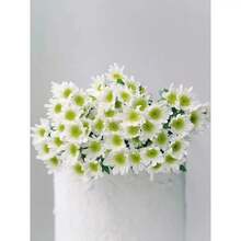 1000 piezas de semillas de flores raras y hermosas, tipo bola de nieve blanca - Crisantemo, Tanacetum, Parthenium - Cada paquete incluye una etiqueta con el nombre del producto. - 1000 - Ver 3