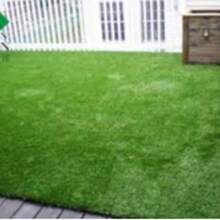 Artificial Grass Roll, Permeable, High Durability, Easy To Use, Realistic, Suitable For Garden, Balcony, Lawn, Roof Greening, Terrace, Golf Course, Sports Events, Halloween, Christmas Decoration - Artificial Turf - View 7