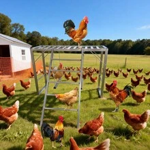 Heavy-Duty Metal Chicken Perch – Multi-Level Bars With Swing And Ladder – For 8-10 Birds – Exercise And Rest In Chicken Coops – Durable Outdoor Accessory – Silver - Gray - View 2