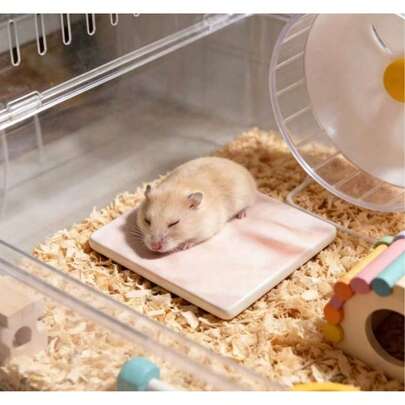 Tấm lót làm mát chuyên dụng cho chuột hamster, chống cắn và chống lật, dễ vệ sinh, tấm lót làm mát mùa hè cho chuột hamster, vật dụng trang trí chuồng thú cưng nhỏ.