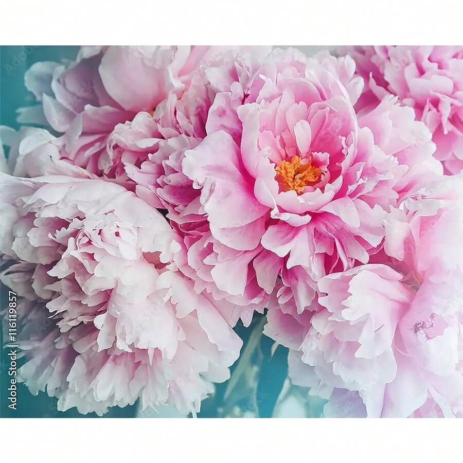 288 semillas de peonía rosa: Enciende tu pasión por la jardinería y crea un jardín de ensueño lleno de hermosas semillas de flores rosas. - 288 piezas - Ver 1