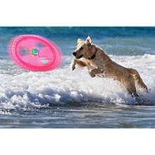 Dog Flying Disc - Rosado - View 6