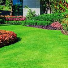 Artificial Grass Roll, Permeable, High Durability, Easy To Use, Realistic, Suitable For Garden, Balcony, Lawn, Roof Greening, Terrace, Golf Course, Sports Events, Halloween, Christmas Decoration - Artificial Turf - View 3