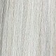 Blonde Highlight