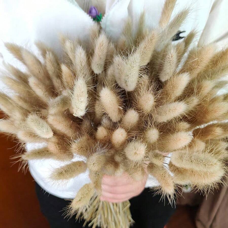 30~240支 17英吋多色人造兔尾草,居家裝飾人造兔尾草莖,適用於波希米亞風花藝佈置、DIY手工藝、居家廚房及婚禮裝飾、聖誕裝飾 - 卡其色 - 查看 1
