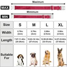 Collar de perro de terciopelo suave con lazo, collar básico de perro ajustable con liberación rápida para perros pequeños, medianos y grandes, diseño simple y confiable - Rojo - Ver 2