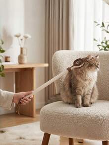Bộ 3 món đồ chơi cù lét đa năng cho thú cưng, đồ chơi ba trong một đa chức năng có thể kéo dài để cù lét và kích thích giác quan cho mèo, đồ chơi tương tác giúp mèo vận động, bàn chải massage cho mèo, dụng cụ massage cù lét đa năng cho mèo và chó, lược massage kéo co tương tác cho mèo, đồ dùng cho thú cưng. - Nhiều màu - Xem 6