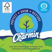 Charmin Essentials Strong Toilet Paper 6 Mega Rolls, 429 Sheets Per Roll - ColorB - View 7