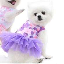 1 chiếc váy hoa đào cho chó mèo cưng, váy voan cho chó Teddy và Poodle. - Màu tím - Xem 3