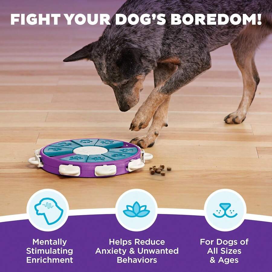 Outward Hound By Nina Ottosson Dog  U2013 Interactive Treat Puzzle Enrichment Toy, Level 3 Advanced - MàuC - Xem 1