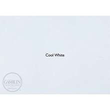 Gamblin Artists' Grade Oil Color Cool White 150ml by Gamblin Artists' Grade - Blanco cool - Ver 5
