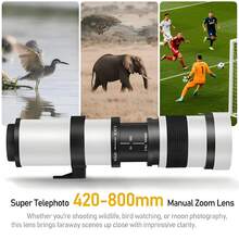420-800mm F/8.3 手动远摄变焦镜头,带 T 卡口,适用于 E/F/F/E 卡口相机 - 查看 6