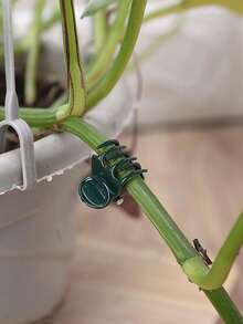 100/50/11件組 植物夾 蘭花夾 植物支撐夾 藤蔓夾，用於支撐攀緣植物的莖部與藤蔓向上生長，讓植物保持直立 - A - 查看 7