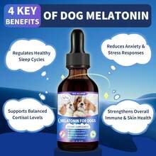 WEALLIN Melatonin For Dogs With L-Theanine &Amp; Chamomile | Anxiety Relief &Amp; Calming, Relaxation &Amp; Sleep Support Liquid Dog Melatonin | Fast-Absorbing &Amp; Bacon Flavor (1 PC) - 顏色A - 查看 1