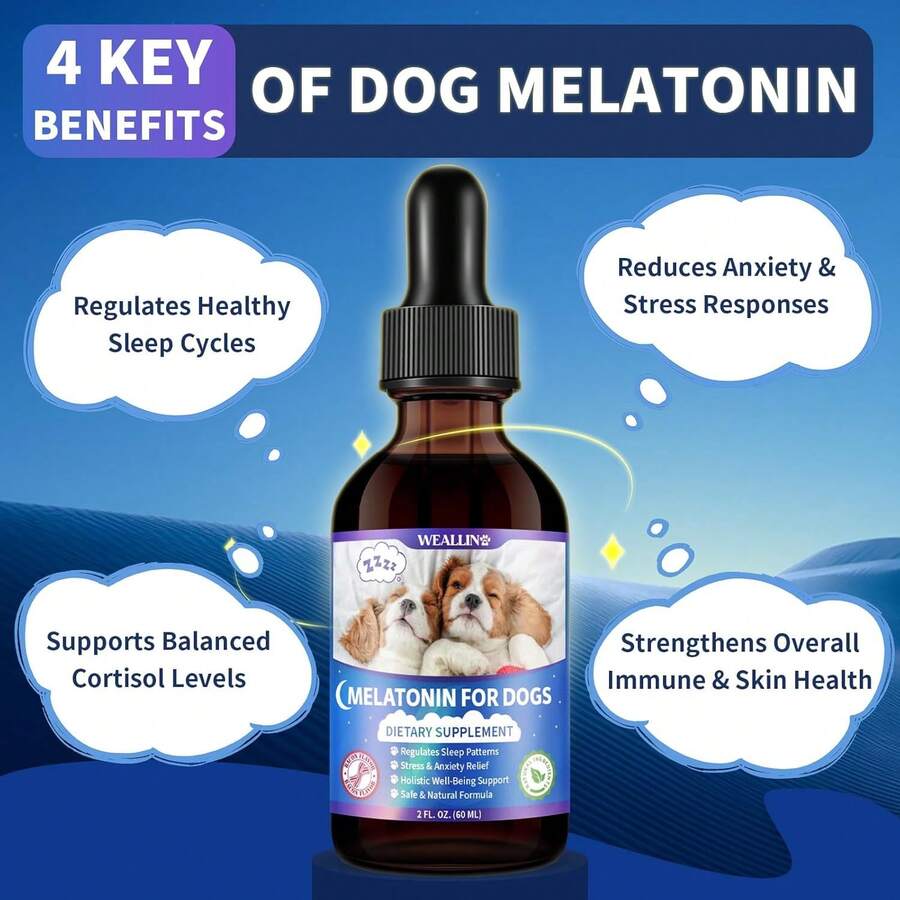 WEALLIN Melatonin For Dogs With L-Theanine &Amp; Chamomile | Anxiety Relief &Amp; Calming, Relaxation &Amp; Sleep Support Liquid Dog Melatonin | Fast-Absorbing &Amp; Bacon Flavor (1 PC) - 顏色A - 查看 1