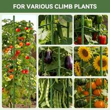 1 Pc Assembled Tomato Cage, Vegetable Support Stake, For Climbing Plants, Vegetables, Flowers, Fruits, Vines - Multicolor - View 7