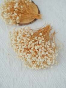 50/100 piezas Flor de Novia Artificial, Ramo de Flor de Novia Artificial, Adecuado para Ramo de Novia, Decoración del Hogar, Decoración de Mesa, Relleno de Jarrón, Decoración Floral DIY (Para Bodas y Fiestas), Decoración de Habitación, Día de San Valentín, Regalo de Cumpleaños, Regalo de Graduación, Decoración de Jardín, Plantas Artificiales, Jardinería, Flores Artificiales - Albaricoque - Ver 2
