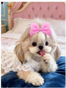 1 pièce Bandeau à nœud mignon pour animal de compagnie, assorti pour chiot heureux, vêtements pour chien, accessoires de photo et de costume adorables et amusants pour chien/chat, coiffe décorative douce et respectueuse de la peau pour la photographie d'animaux de compagnie et les fêtes, pleine d'ambiance de Noël/anniversaire/Saint-Valentin/rendez-vous - Multicolore - Voir 3