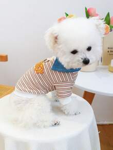 1件宠物衣服，狗狗/猫咪服装，小型犬幼犬可爱宠物服装，狗狗套装，舒适刺绣卫衣系列二合一 - 咖啡条纹 - 彩色 - 查看 3