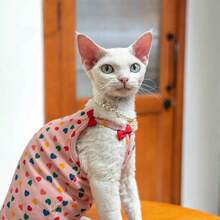 Áo khoác cho mèo Sphynx không lông nhiều màu sắc, thiết kế hình trái tim co giãn thoải mái, thích hợp cho mùa hè. - Hồng - Xem 6