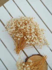 50/100 piezas Flor de Novia Artificial, Ramo de Flor de Novia Artificial, Adecuado para Ramo de Novia, Decoración del Hogar, Decoración de Mesa, Relleno de Jarrón, Decoración Floral DIY (Para Bodas y Fiestas), Decoración de Habitación, Día de San Valentín, Regalo de Cumpleaños, Regalo de Graduación, Decoración de Jardín, Plantas Artificiales, Jardinería, Flores Artificiales - Albaricoque - Ver 4