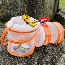 Lồng nuôi côn trùng và bướm, nhà cho sâu bướm, lồng nhân giống côn trùng, lồng nhân giống côn trùng và bướm dạng gấp gọn với lưới trong suốt. - trái cam - Xem 4