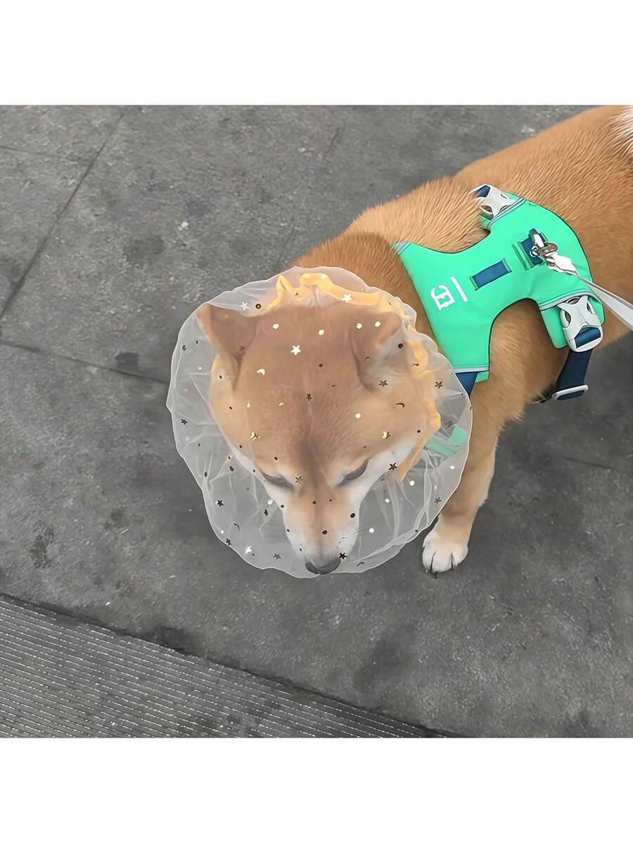 Dispositivo de protección contra sobrealimentación para perros. Antimosquitos. Pañuelo para la cabeza. Máscara para exteriores. Cubierta para la cabeza de perro. Dispositivo de protección contra la alimentación. Máscara facial de malla. - Multicolor - View 1