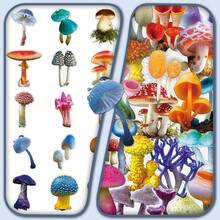 50 piezas de pegatinas ilustradas con plantas y hongos lindos, decoración transparente para álbum de fotos DIY, caja de almacenamiento - champiñón - View 1
