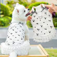 貓狗蕾絲蘿莉塔蛋糕裙，小型與中型犬蕾絲裙，泰迪熊風格，博美寵物服裝，適合夏秋季節，貓咪服飾配件，派對穿搭，狗狗衣服，貓咪衣服，動物衣服，新寵物春夏系列，幼犬衣服，公主風多功能套裝，印花條紋風格，小型動物衣服，結合涼爽與防曬功能（附掛環） - 彩色 - 查看 2