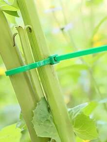 Bộ 100 dây buộc vườn, dây buộc cố định cây bằng nhựa, dây buộc cáp vườn di động, dùng cho làm vườn và chăm sóc bãi cỏ, chiều dài 10-20cm. - A - Xem 5