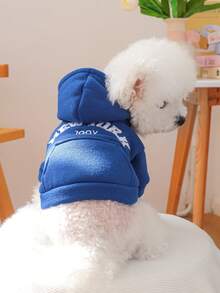1件宠物服装，犬猫通用，舒适连帽衫系列，适合小型犬、幼犬，春秋季 - 藏青色 - 藍色 - 查看 2