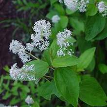 Outdoor Decor - SEED - View 3