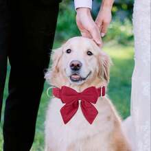 Velvet Fabric Dog Collar With Dog Bow Tie, Soft Quick Release Basic Dog Collars For Small Medium Dogs, Large Dogs, Adjustable Dog Collar For Everyday Use - Secure, Simple Design For Reliable - Red - View 9