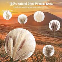 100 PCS Pampas Grass Bundle - Dried Rattan Reeds For Boho Home Decor, Wedding Centerpieces, Christmas Party Supplies. - 100 PCS - View 4