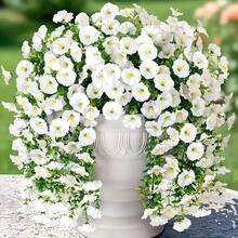 4/8pcs Artificial Morning Glory Plant Outdoor Simulated Flowers- No Maintenance Required- Multifunctional UV-Resistant Realistic Hanging Plants, Suitable For Home Decoration, Outdoor Courtyard, Porch, Terrace, Home Garden Decoration - Multicolor - View 10