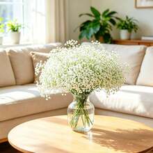 30 bông hoa baby's breath nhân tạo ngoài trời, bó hoa nhựa | Hoa sinh học sống động như thật | Thích hợp cho nhà cửa, ngoài trời, sân vườn, phòng khách, trang trí khách sạn và trang trí đám cưới tự làm, sắp xếp trung tâm tiệc, bố trí khách sạn, trang trí tiệc, thiết kế hoa, lễ kỷ niệm sinh nhật, Ngày Valentine, Ngày của Mẹ, Lễ Tạ ơn, Halloween, Năm mới, Mùa tốt nghiệp, Ngày Quốc khánh, Giáng sinh và các dịp khác, bao gồm cả quà tặng cô dâu | Không cần bảo dưỡng. Trang trí đám cưới tự làm, sắp xếp trung tâm tiệc, bố trí khách sạn, trang trí tiệc và thiết kế hoa. - Màu trắng - Không gian trắng tinh khiết - Xem 8