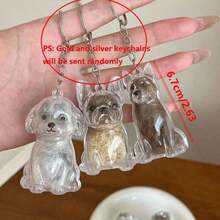 1件寵物品種圖案寵物毛髮儲存鑰匙圈，透明寵物毛髮儲存盒，狗狗品種鑰匙圈紀念品，多功能寵物紀念吊墜，紀念心愛寵物的選擇，寵物配件，獨特個性化寵物配件 - 彩色 - 查看 10