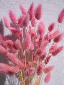 Rosrosa