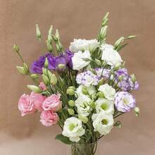 Semillas de Flor de Lisianthus para Jardín - 100 Semillas Mixtas de Lisianthus Anual de Flor Doble, Semillas de Lisianthus No-OGM - 100 piezas - Ver 3