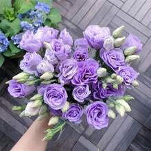 Outdoor Decor - 100PCS - View 3