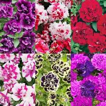 Outdoor Decor - 125pcs - View 3