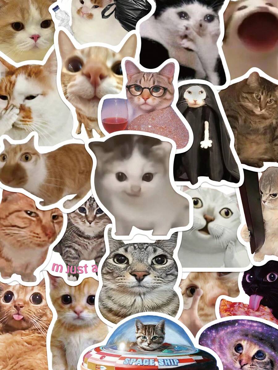 50pcs Funny Cat Expression Stickers, Suitable For Scrapbooking, Diary, Notebook, Tablet, Water Bottle, Phone Decoration - Multicolor - View 1